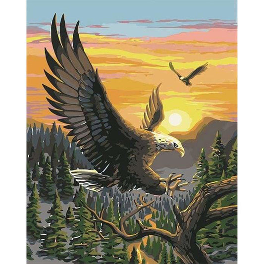 Adler bei Sonnenaufgang