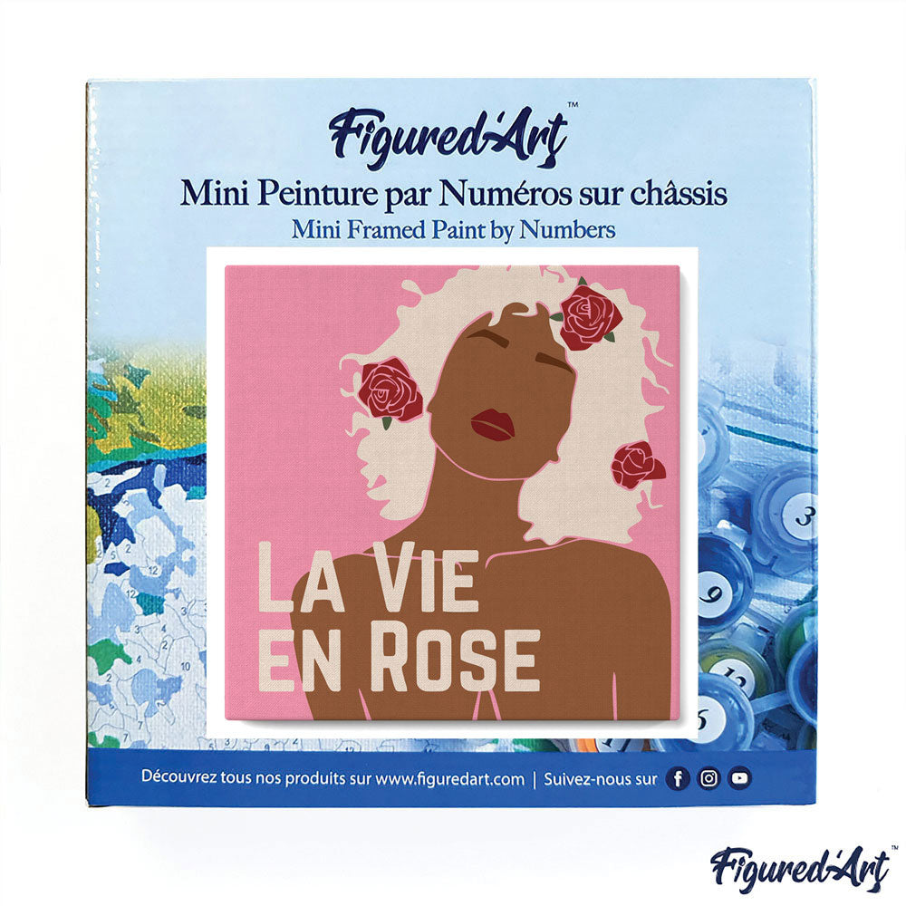 Mini Paint by numbers 8x8 framed - La Vie en Rose
