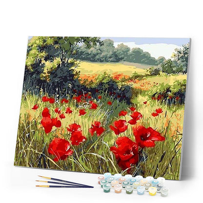 Field of Poppies in the countryside