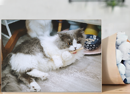 Benutzerdefiniertes Malen nach Zahlen, personalisierte Kunst von Ihrem Foto auf Leinwand, Haustierportrait, Hunde, Katzen, personalisiertes Geschenk