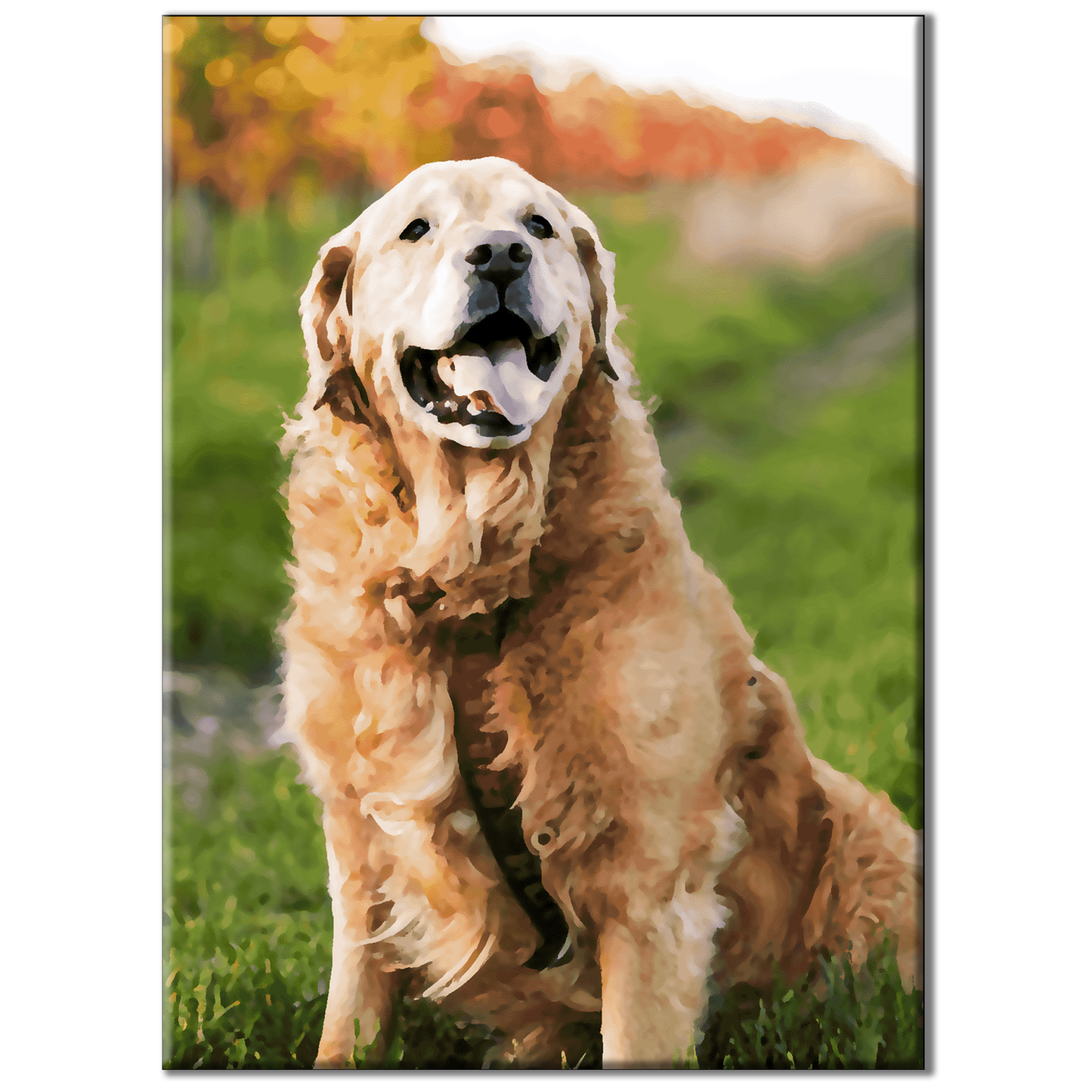 Benutzerdefiniertes Malen nach Zahlen, personalisierte Kunst von Ihrem Foto auf Leinwand, Haustierportrait, Hunde, Katzen, personalisiertes Geschenk