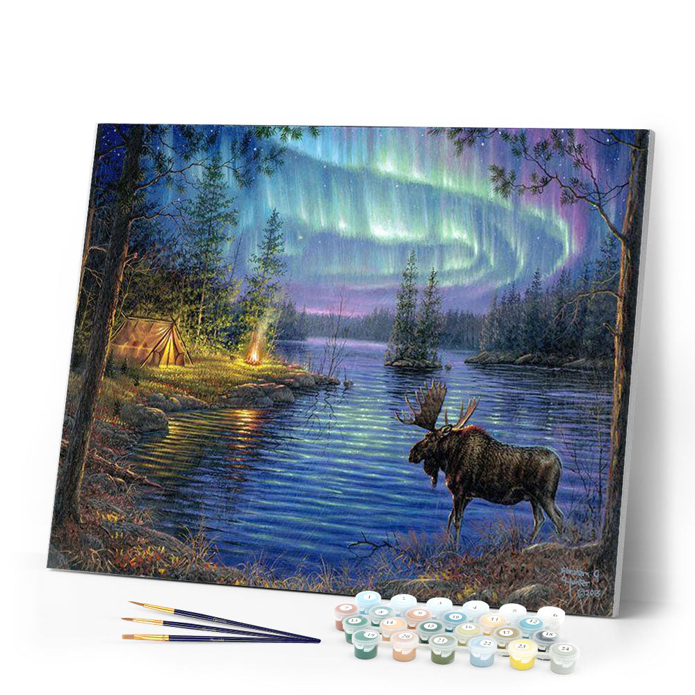 Elche und Nordlichter