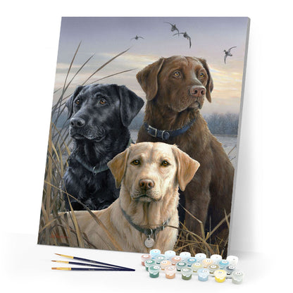 Labrador-Trio