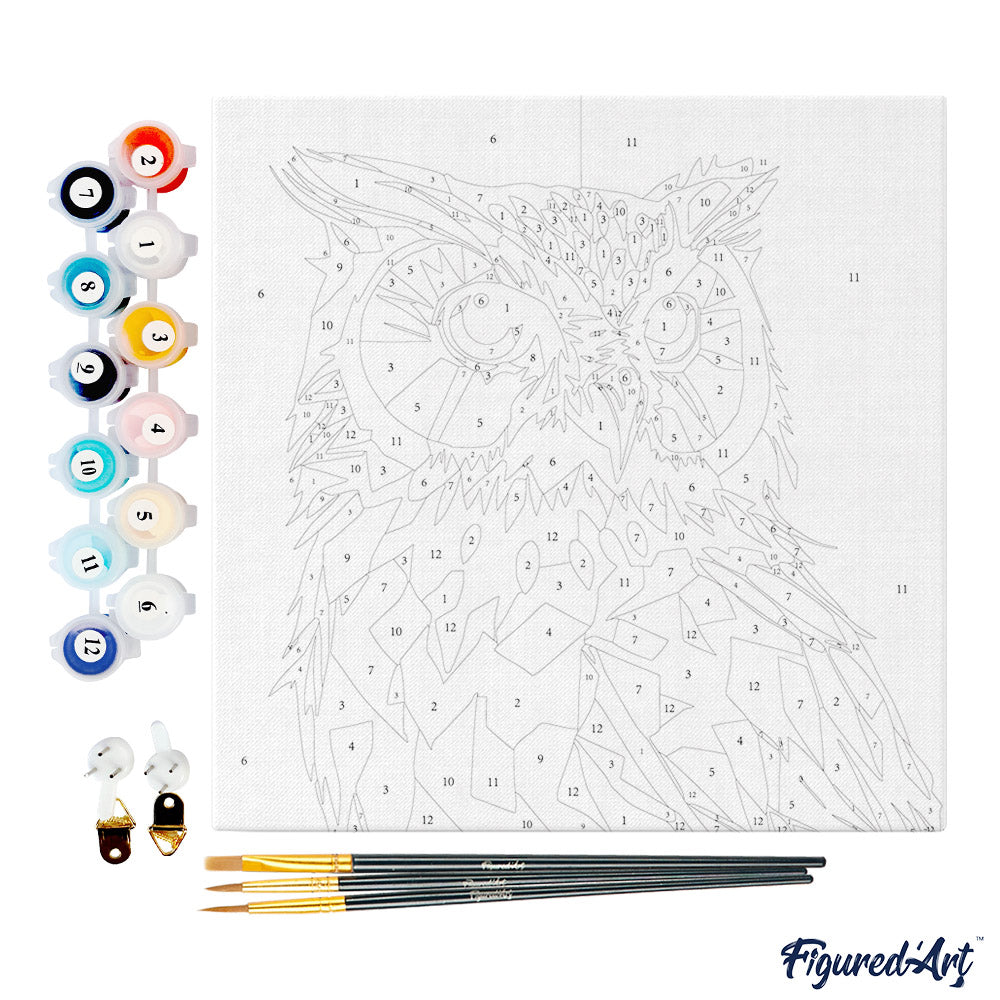 Mini-Malen nach Zahlen 8 x 8 gerahmt - Eule Abstrakte Pop-Art