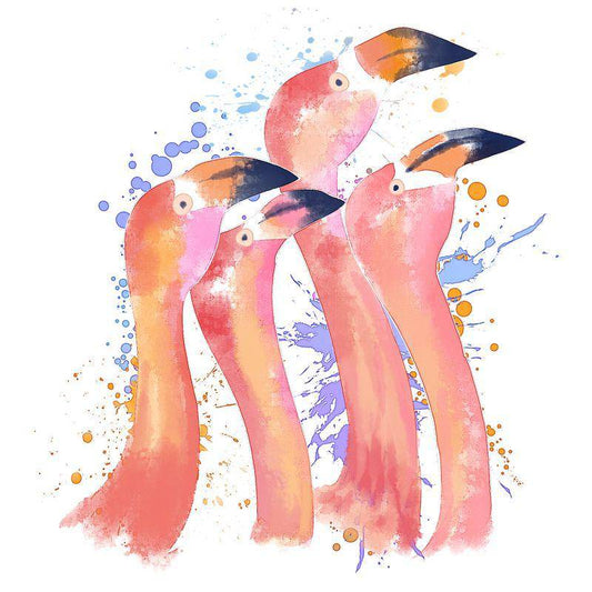 Flamingos für Kinder