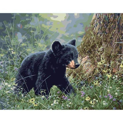 Kleiner Bär